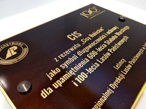 Tablica pamiątkowa mosiężna trawiona 4