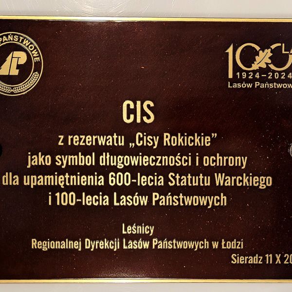 Tablica pamiątkowa mosiężna trawiona