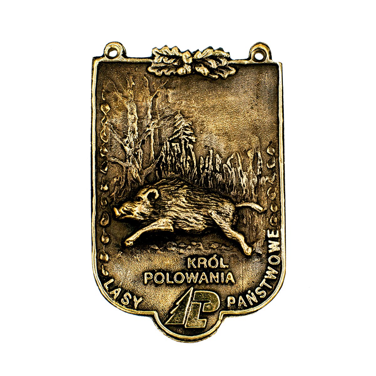 Medal Król Polowania — dzik (plakieta)