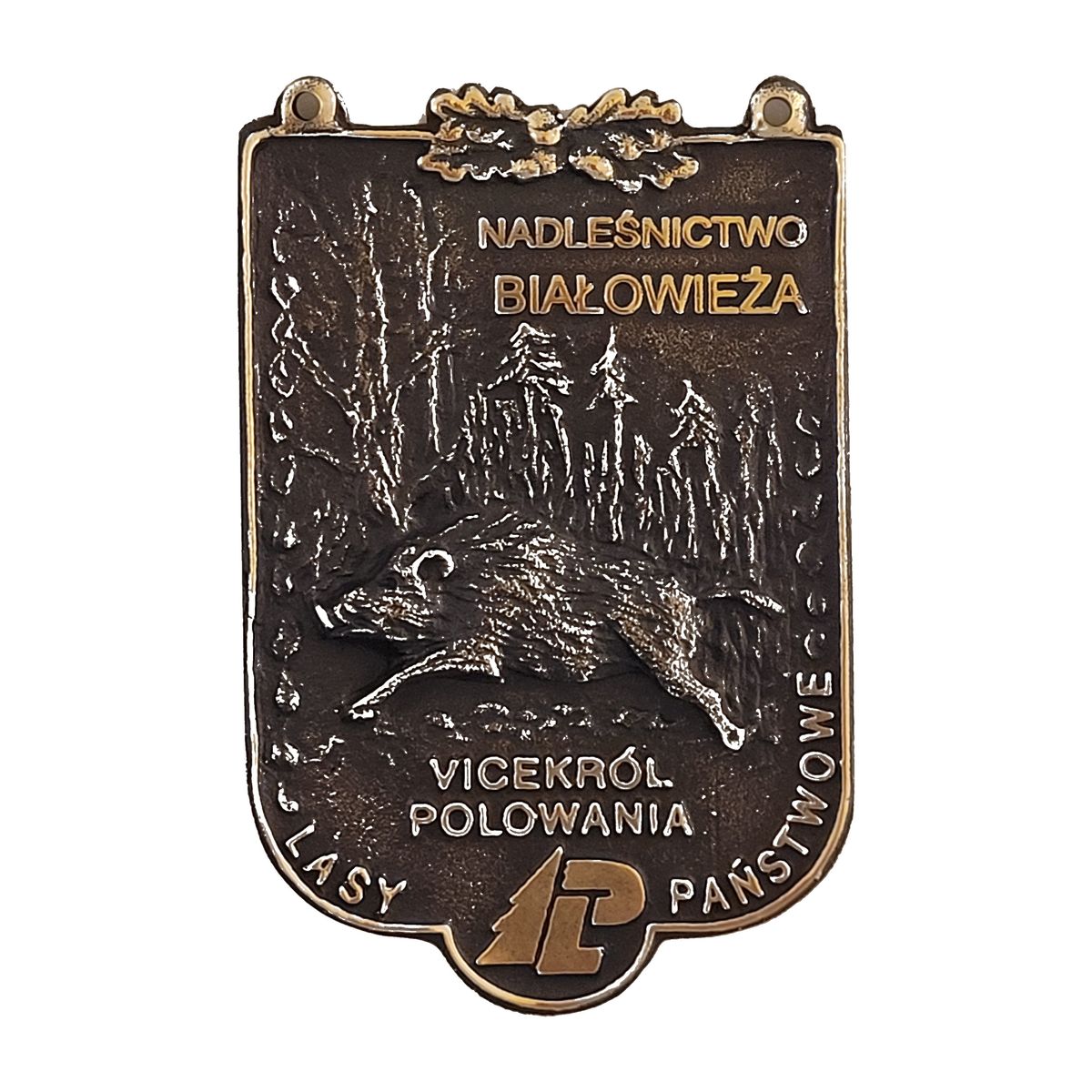 Medal Wicekról Polowania — dzik (plakieta)